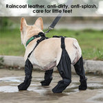 Dog wearing black raincoat with text about raincoat features