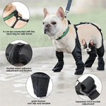 Dog wearing a black harness and boots with product features highlighted.